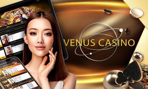 win77 4455 bet cassino H5