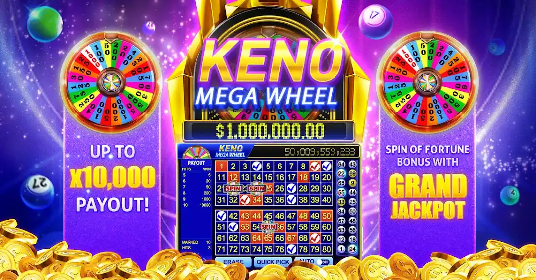 win77 4play bet cassino Android